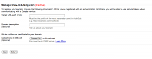 Google accounts manage domain page